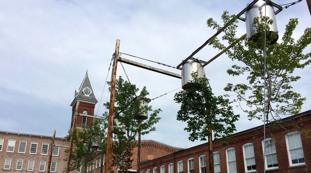 My son called this sculpture the tortured trees. Upside down and growing to the sky.