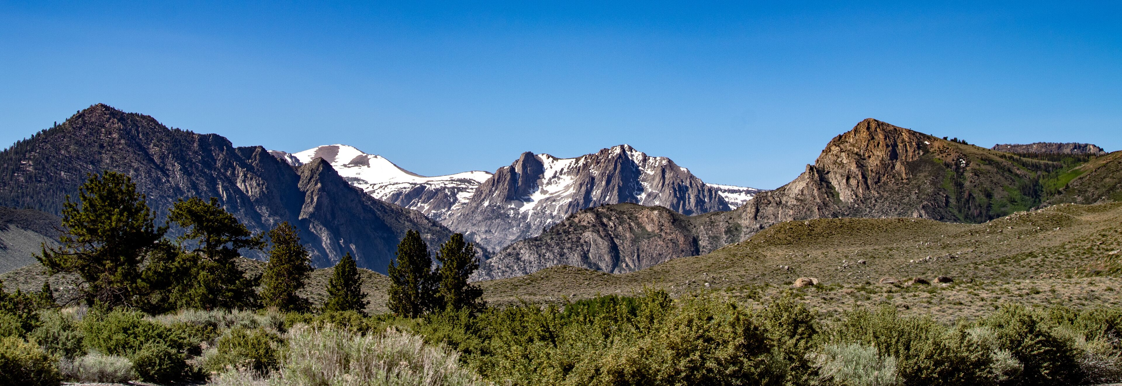 A mountain range with snow-capped peaks, dense forests, and a clear blue sky.