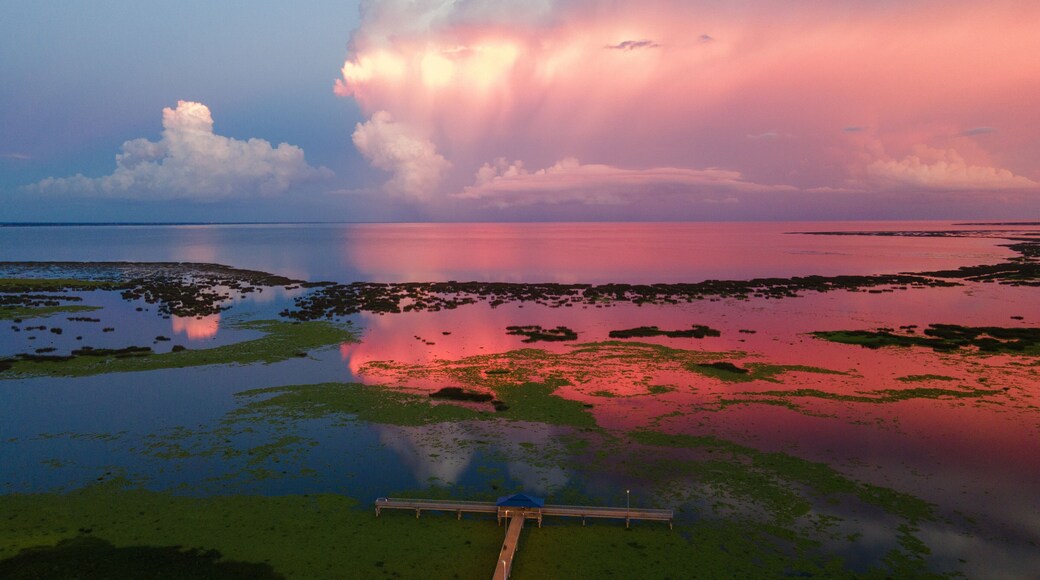 Okeechobee