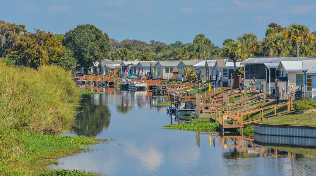 Okeechobee