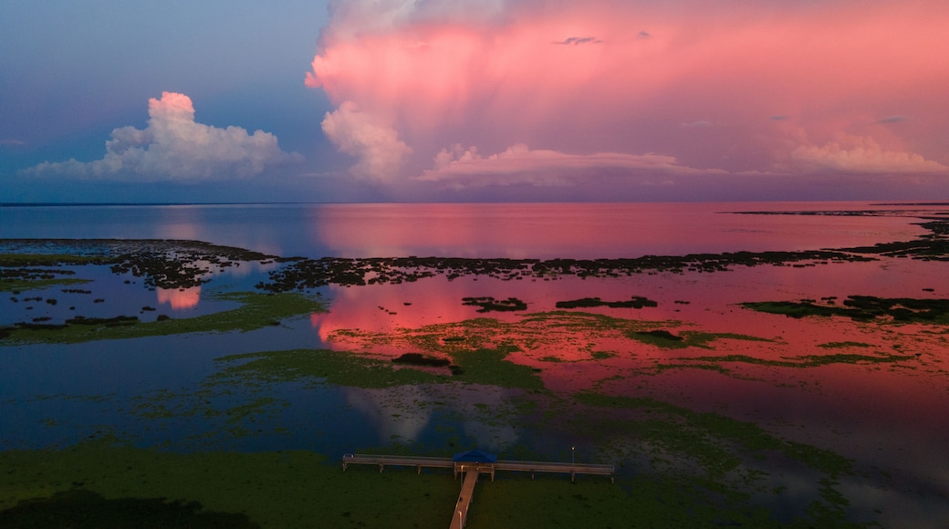 Okeechobee