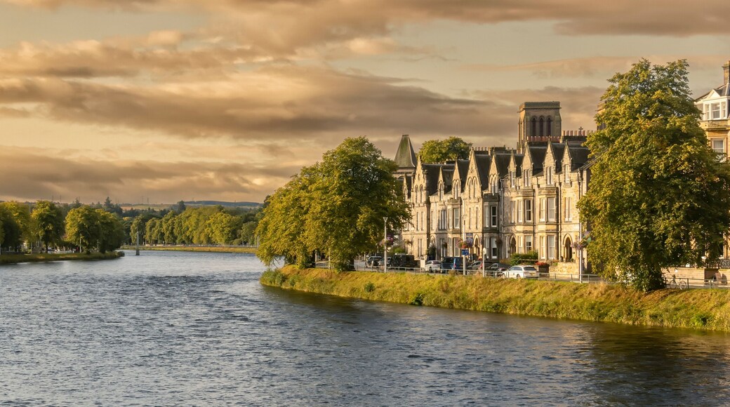 ๋ฐ๋ฆฌํ์ด๋ฆฌ