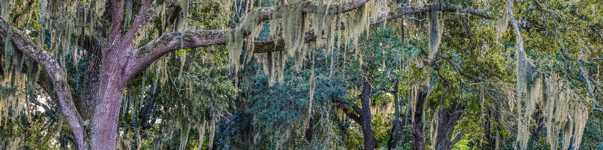 A gazebo surrounded by a pond, large trees, and lush greenery.