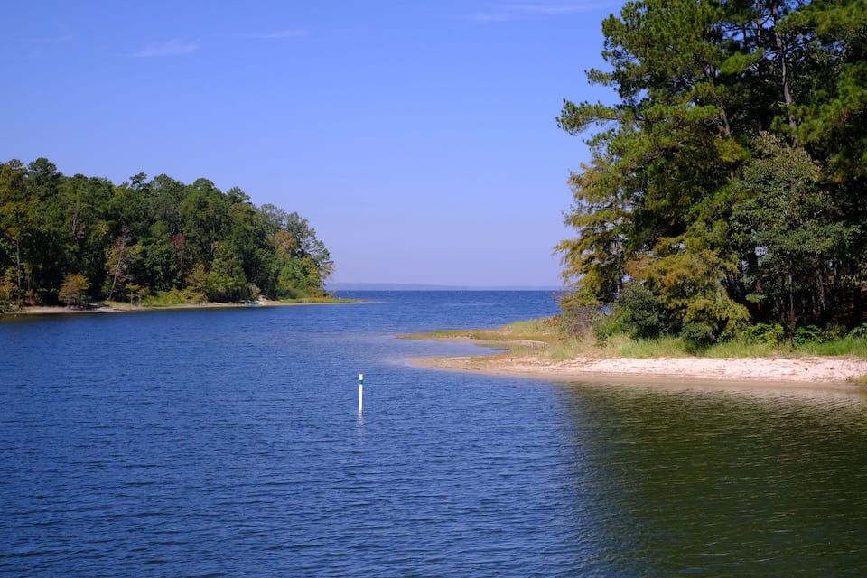 A calm lake surrounded by dense green trees under a clear blue sky.