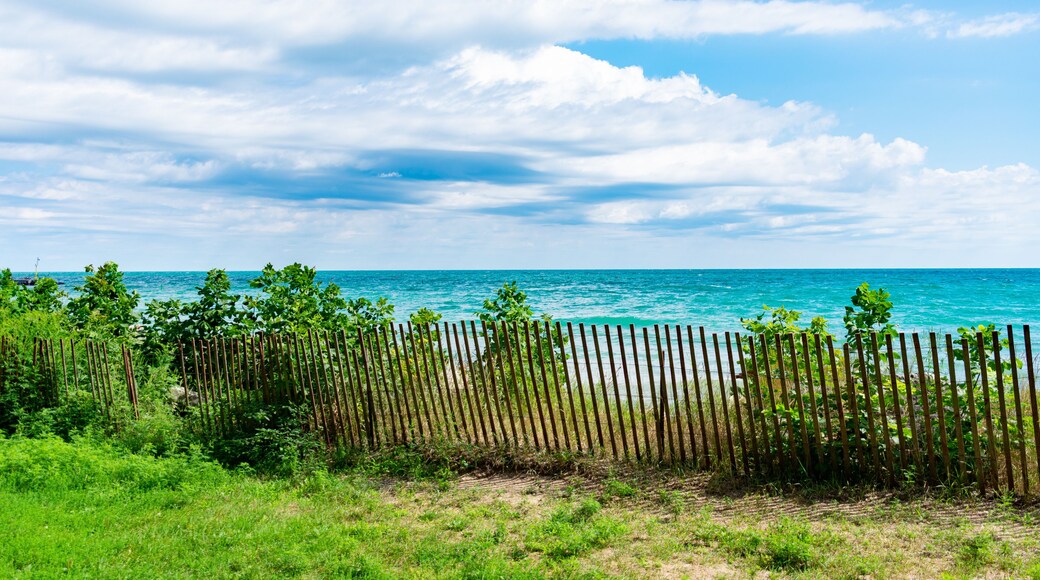 Lake Michigan Shoreline with Fence in Evanston Illinois during the Summer