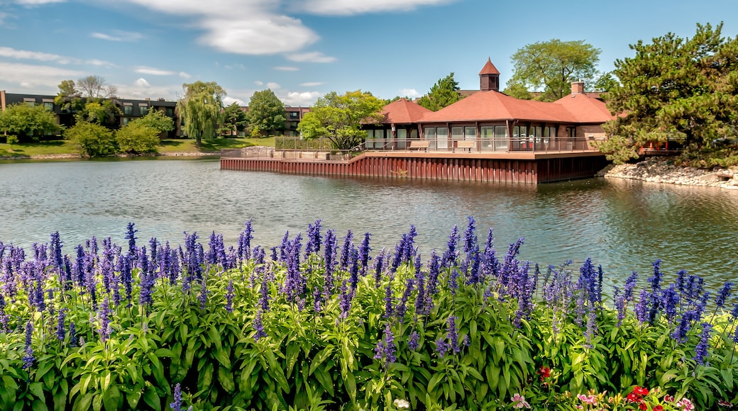 Northbrook village landscape, is an affluent suburb of Chicago, located at the northern edge of Cook County, Illinois, United States.