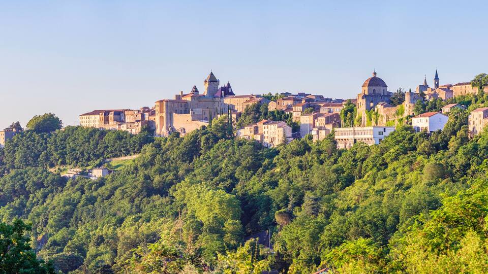 A historic town perched on a hillside with dense forest, medieval architecture, and a prominent church tower.