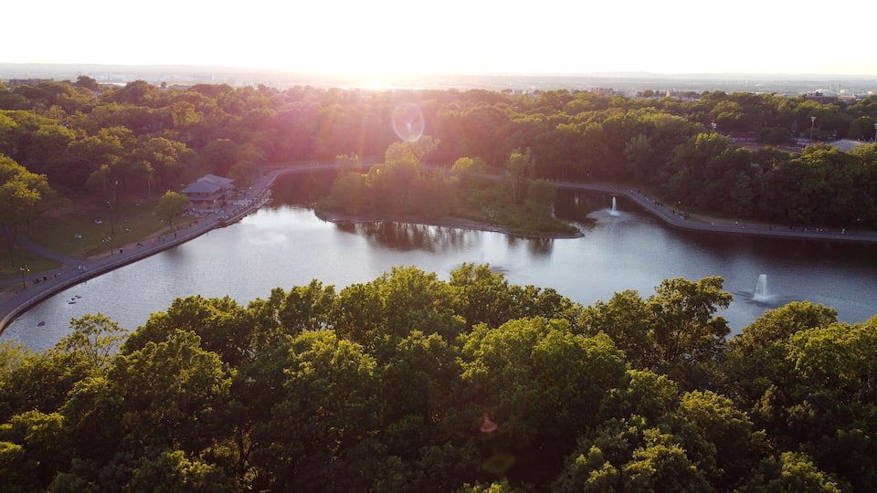 A river winding through a park with trees and a distant city skyline.