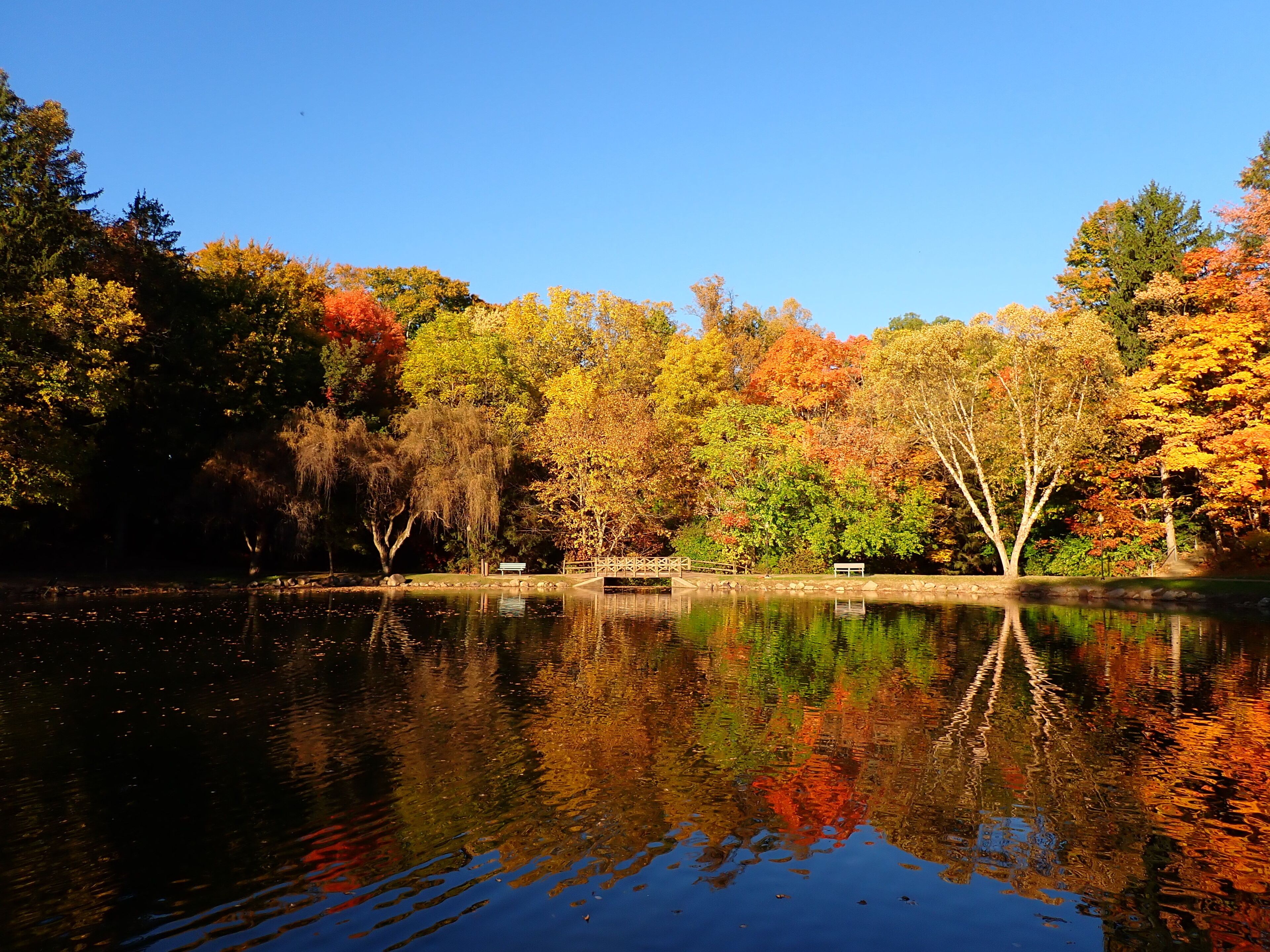 Silver Park, Alliance, Ohio looking across Lake Kidwell at the foot bridge on a beautiful fall afternoon in October with a clear blue sky