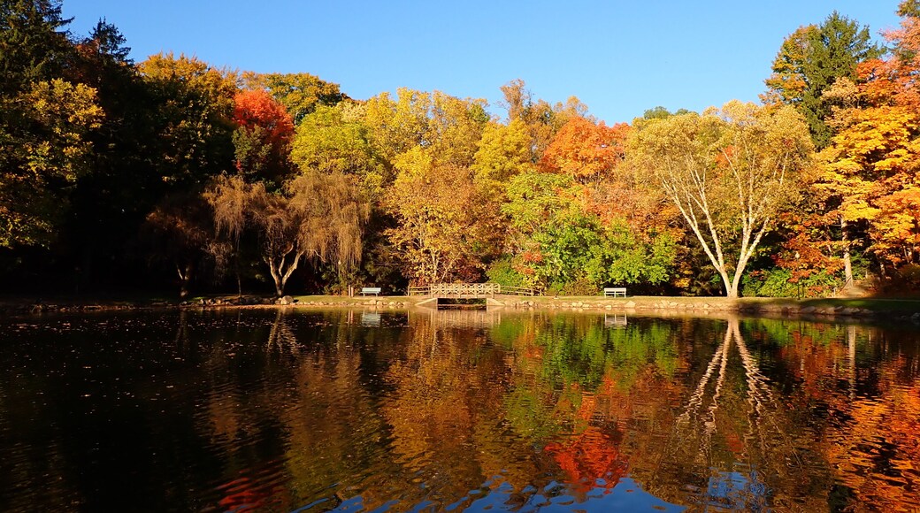 Silver Park, Alliance, Ohio looking across Lake Kidwell at the foot bridge on a beautiful fall afternoon in October with a clear blue sky
