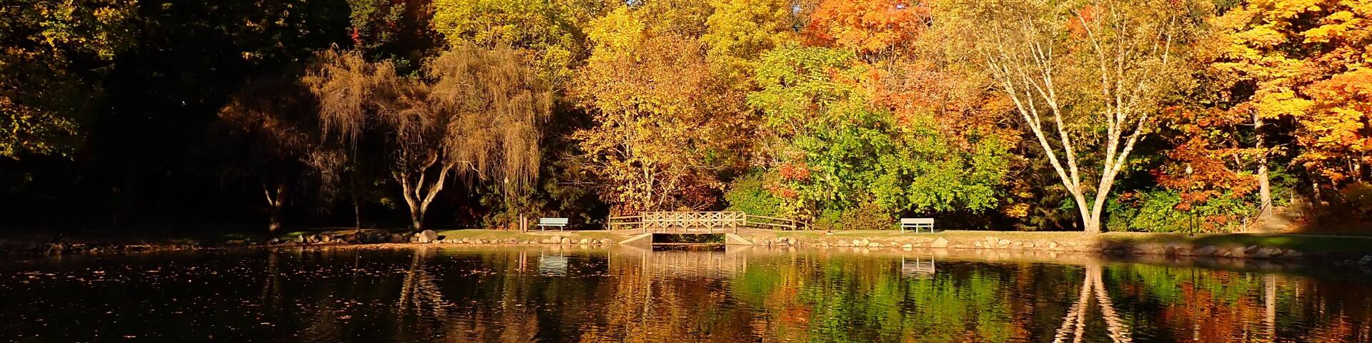 A calm lake with autumn foliage, a wooden bridge, and a bench.