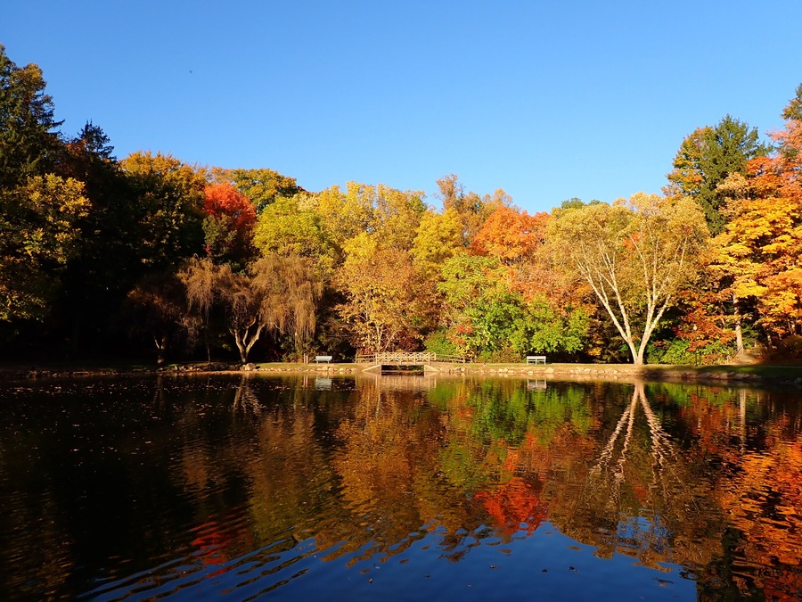 A calm lake with autumn foliage, a wooden bridge, and a bench.
