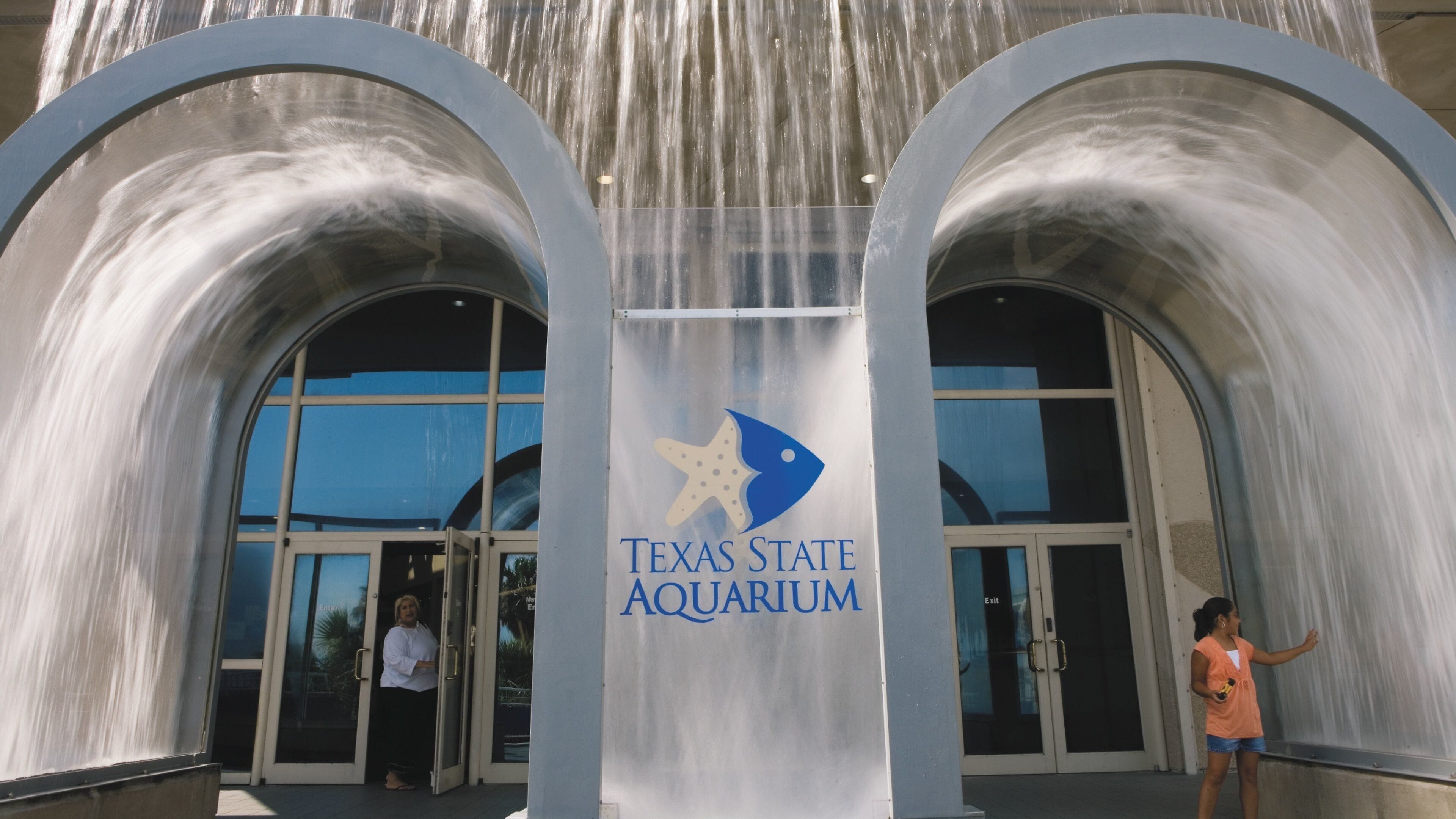 Corpus Christi mostrando vida marina y señalización