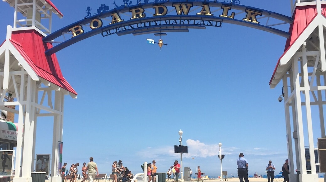 The Boardwalk in Ocean City is a 3-mile stretch of beautiful beach and wooden walkway littered with dozens of shops and eateries. At the far south end lies an amusement park, and a $3 trolley will port you up and down the boardwalk all day long. There's something for everyone here!