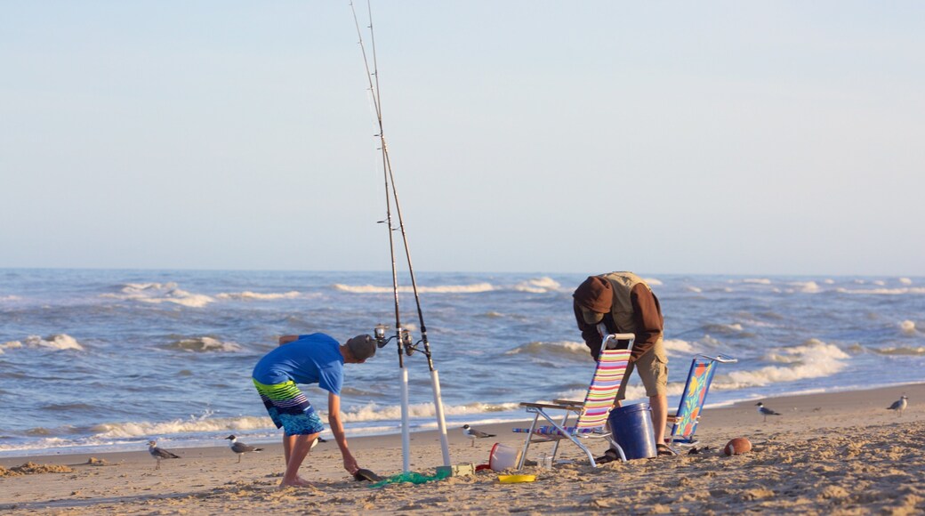 Assateague Island National Seashore que inclui ondas, uma praia de areia e pesca