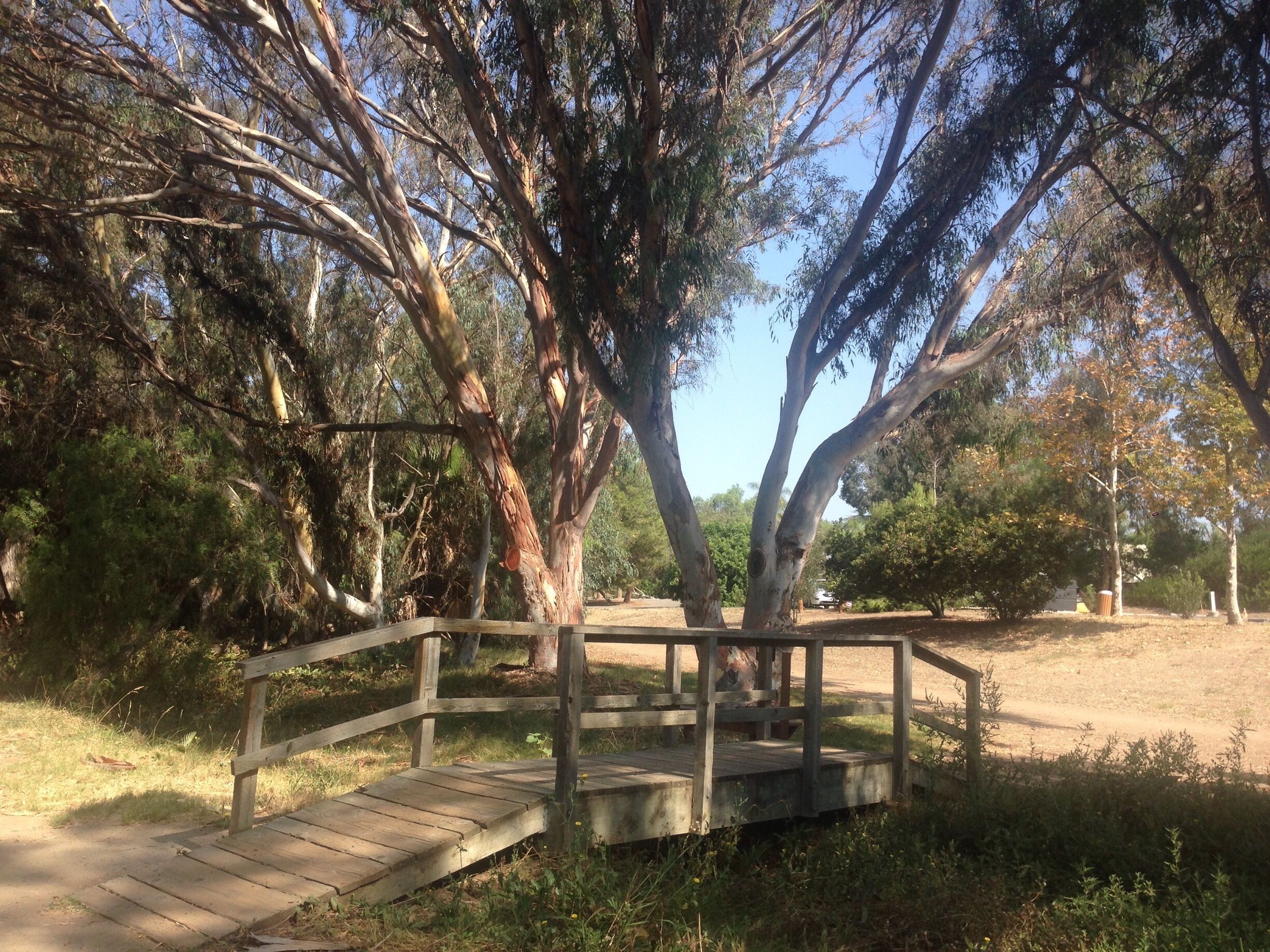Bridge in Guajome Regional Park. 