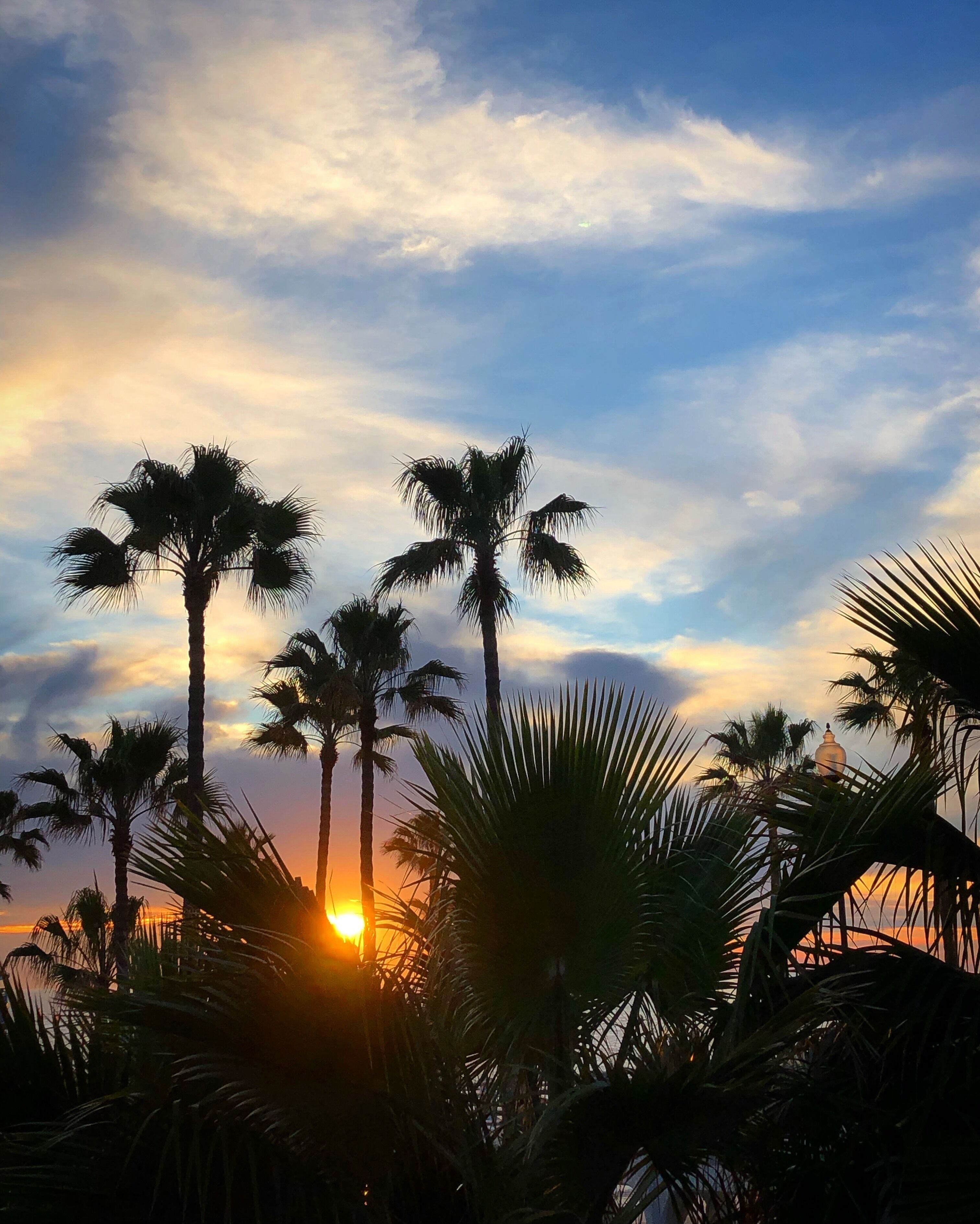 The Oceanside Fishing Pier is one of the longest wooden piers on the West Coast. A great place to watch local surfers and soak in some gorgeous sunsets!