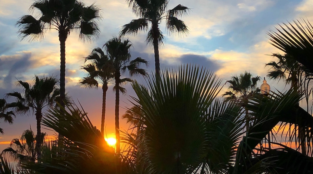The Oceanside Fishing Pier is one of the longest wooden piers on the West Coast. A great place to watch local surfers and soak in some gorgeous sunsets!