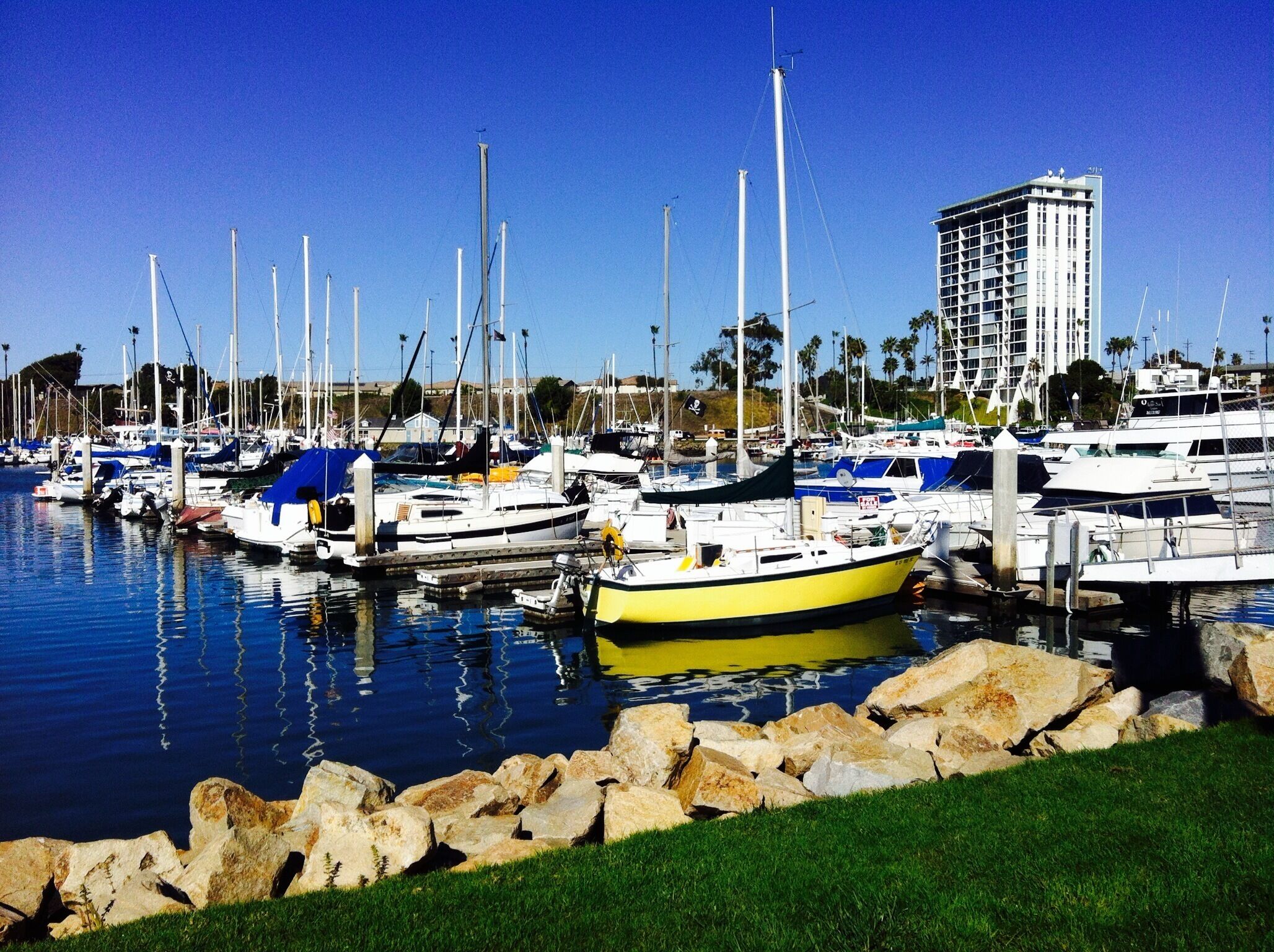We are so lucky to live in Southern California ,much more to have this beautiful Oceanside harbor just 15 minutes to were we live. Summer is on it's way, can't wait for fun outdoor activities at  the beach!!
