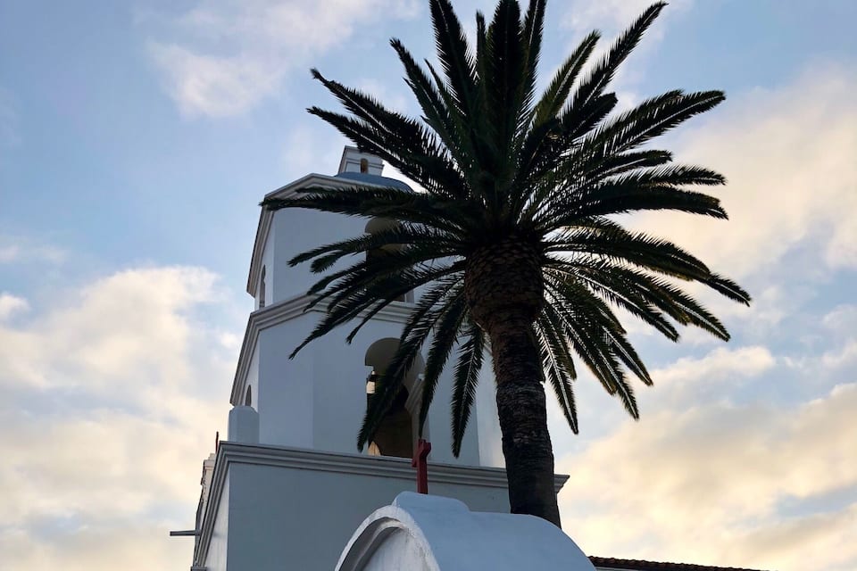 A white church with a bell tower and a palm tree.