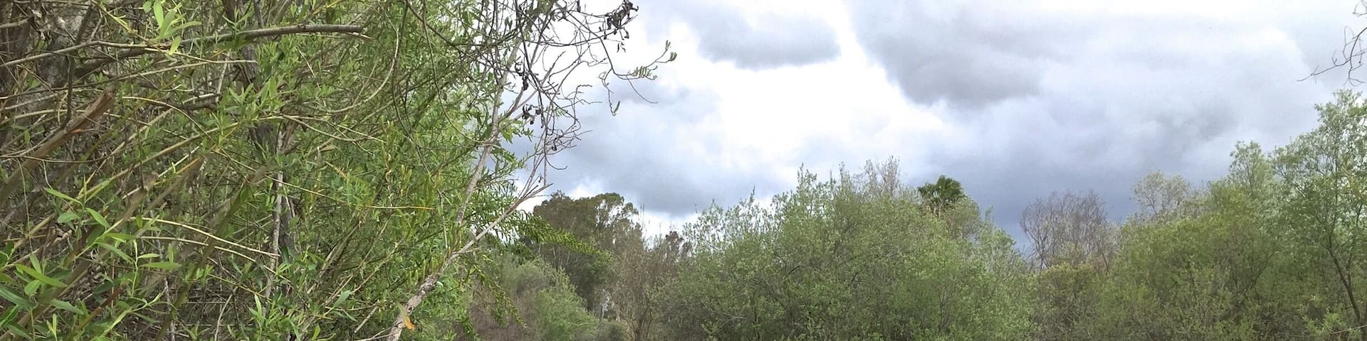 Hiking near Guajome campground at Guajome regional State park.