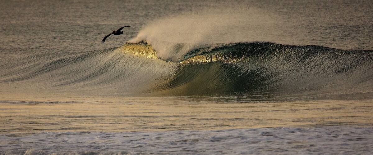 Morning flight