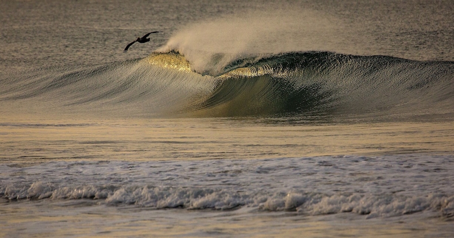 Morning flight