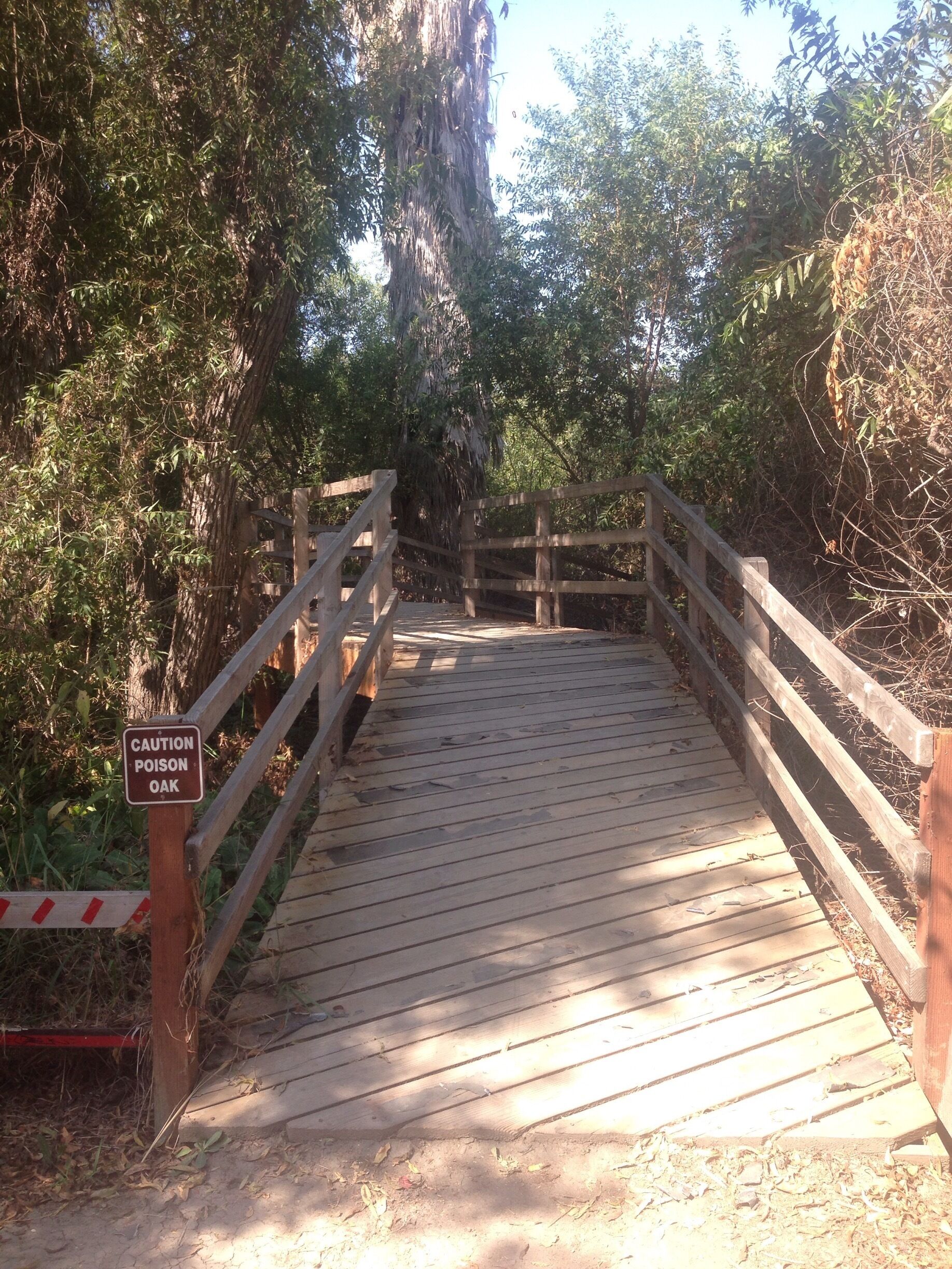Short Bridge pathway in Guajome Regional Park. 