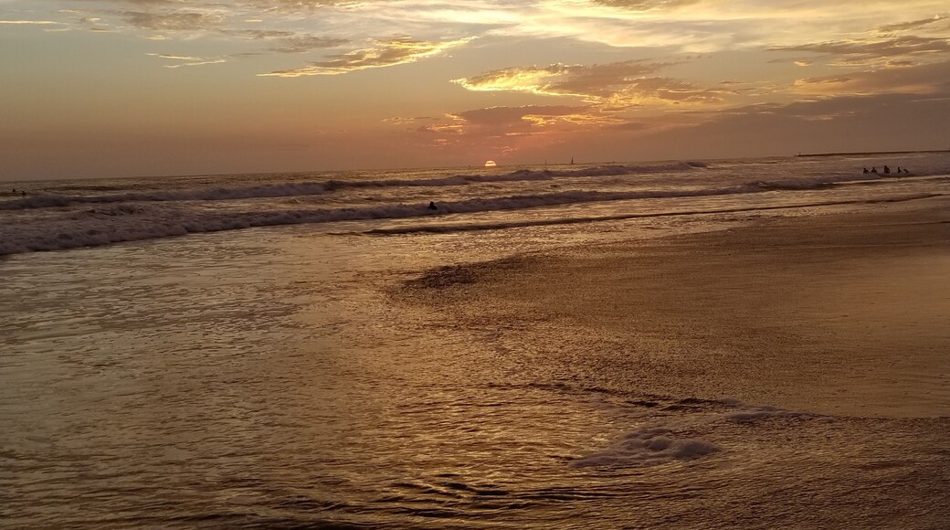 Beautiful place to see the sunset!! :)
#Golden
#Perspectives
#Nature
#Celebrate World Photo Day