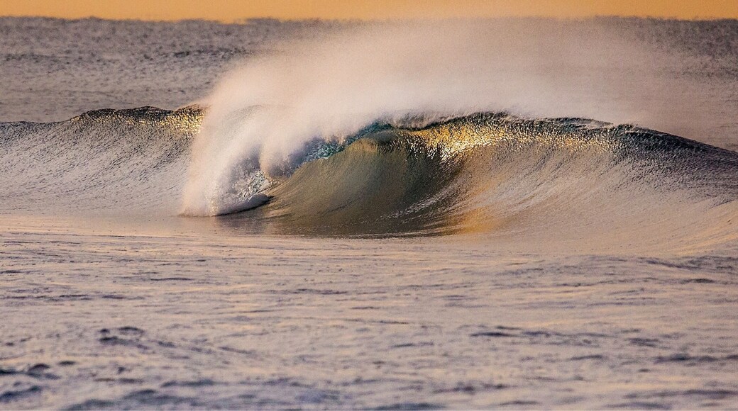 Surf surf and more surf