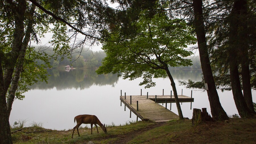 Fawn Lake