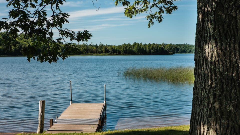 A wooden dock extending into a calm lake, surrounded by trees and a clear sky.