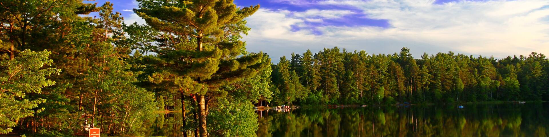 Un lac paisible, bordé d’arbres, sous un ciel dégagé.