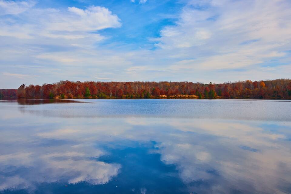 A calm lake with a forest in the background.