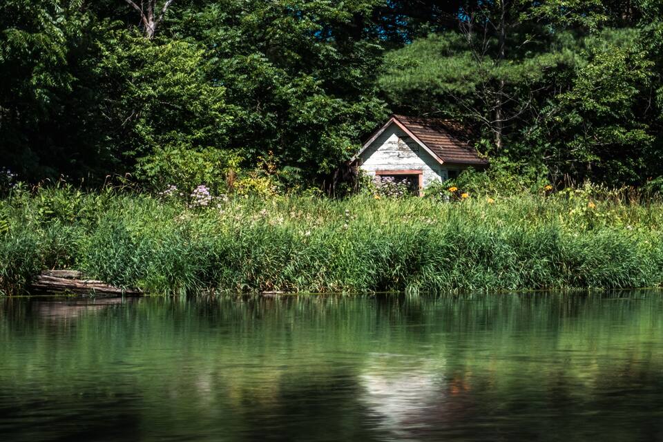 A small cabin surrounded by lush greenery and a calm lake.