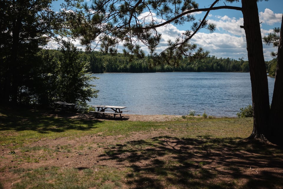 Un espacio de picnic junto al lago con una mesa y bancos, rodeado de árboles y un cielo despejado.