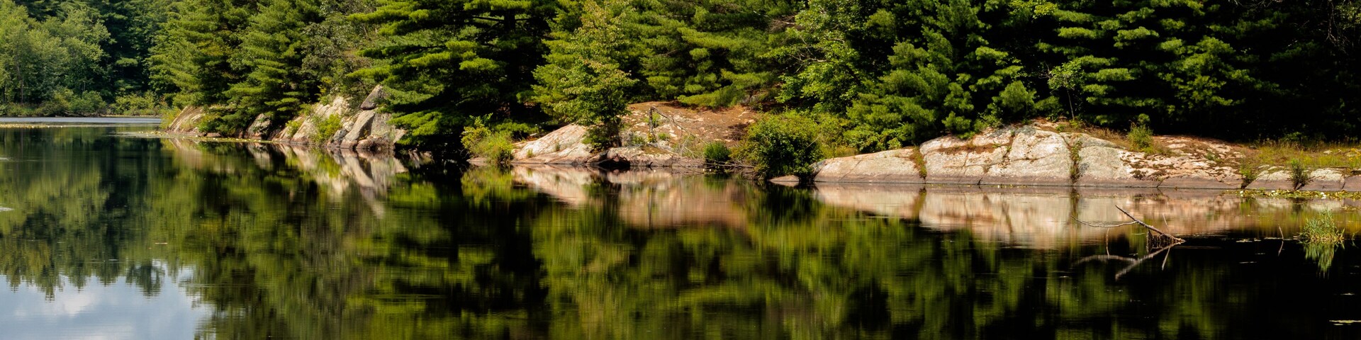 Pine trees and boulder shoreline along the Little Wolf River and the mill pond within Big Falls, Wisconsin in early July