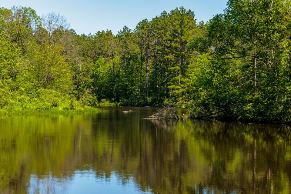 Un lac paisible, entouré d’une forêt verdoyante et dense.