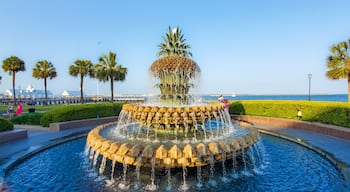 Charleston, South Carolina in May - Pineapple Fountain
