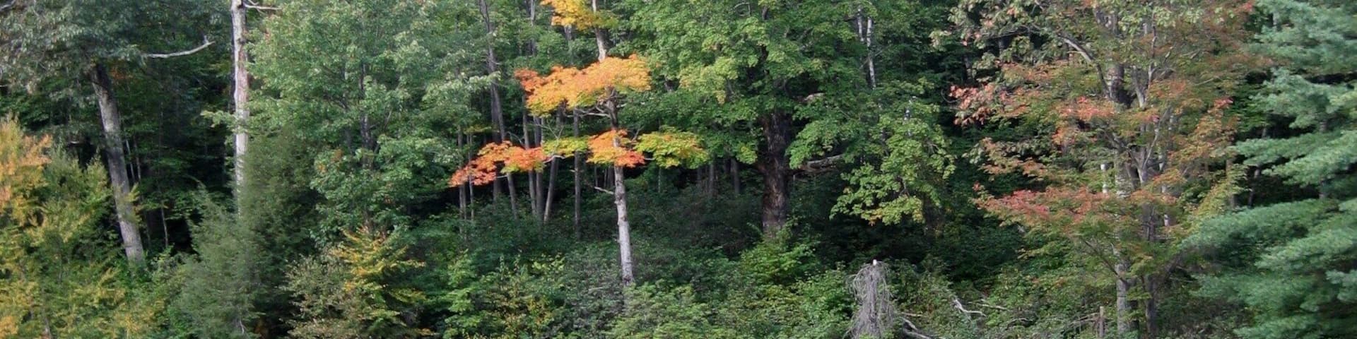 The Mass Audubon's High Ledges Wildlife Santuary is a hidden gem, a beautiful hike through the woods with a great view of the valley at the end. Can't say we saw any wildlife in late September, but it's a perfect time for pretty foliage. Great hike for kids! #Massachusetts #NewEngland #fall #colors #hiking #outdoors