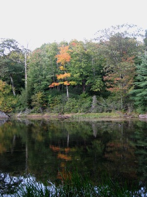 The Mass Audubon's High Ledges Wildlife Santuary is a hidden gem, a beautiful hike through the woods with a great view of the valley at the end. Can't say we saw any wildlife in late September, but it's a perfect time for pretty foliage. Great hike for kids! #Massachusetts #NewEngland #fall #colors #hiking #outdoors