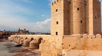 2,100 year old bridge, now a pedestrian walkway. The bridge was heavily reconstructed in the 10th century by the Moors, and their handiwork is largely what we see today. Standing guard over the bridge is the 12th Calahorra Tower.