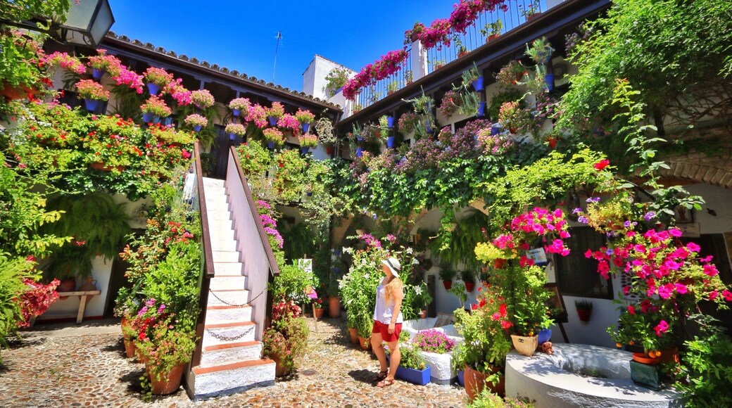 Córdoba is famous for its patio festival in May where private patios are opened to the public for 2 weeks in a competition. This one is one of my favorites on calle san bailio 44 and this year it was open and free even in June so it's worth stopping by outside of May to see these secret patios.