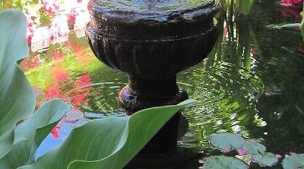 The Courtyard of the Orange Trees in Palace Viana. The fountain is in a pool of water plants and fish. Originally the Arabic kitchen garden, it was the entrance to the palace in the 15th century. A maze garden with 100-year old orange trees can be seen in the background, another fountain is at the center of this maze.
https://davenotravels.blog/