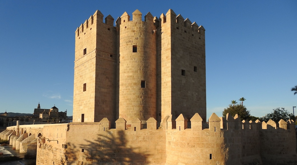#cordoba #spain #tower #torre #TroveOnTuesday
Esta fortaleza é de origem islâmica e foi construída para servir de entrada e proteção da Ponte Romana. Encontra-se do lado esquerdo do rio Guadalquivir. Hoje tem instalado nela o Museu Vivo de al-Ándalus que mostra a convivência das culturas cristã, muçulmana e judaica do século IX ao século XIII. Faz parte do Centro Histórico de Córdoba que é considerado Patrimônio Histórico pela UNESCO.
This fortress is of Islamic origin and was built to serve as entrance and protection of the Roman Bridge. It is on the left side of the river Guadalquivir. Today it has installed in it the Living Museum of al-Ándalus that shows the coexistence of Christian, Muslim and Jewish cultures from the 9th to the 13th century. It is part of the Historic Center of Cordoba which is considered a UNESCO World Heritage Site.