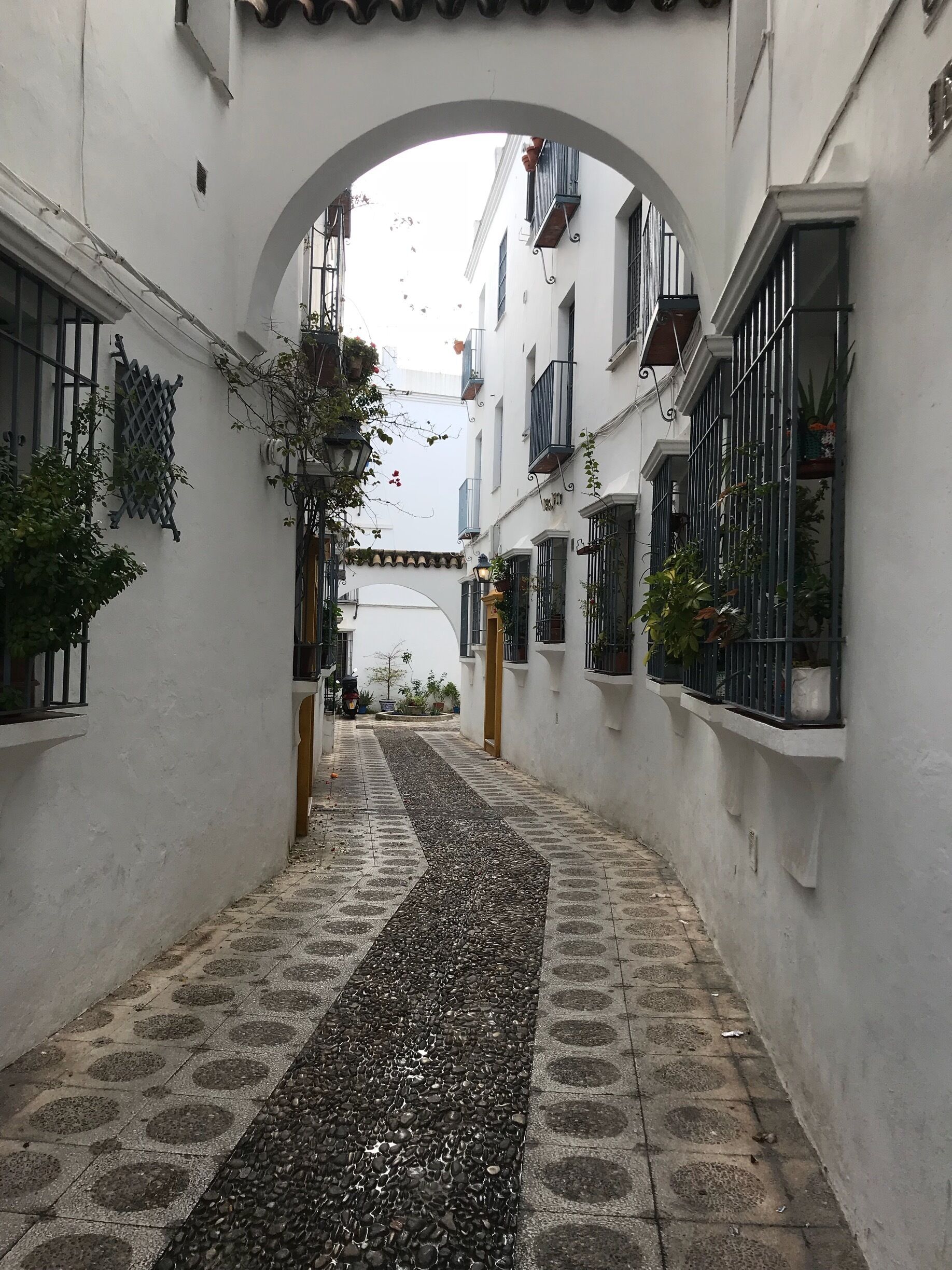 The white Andalusian walls in the beautiful Córdoba, España 🇪🇸