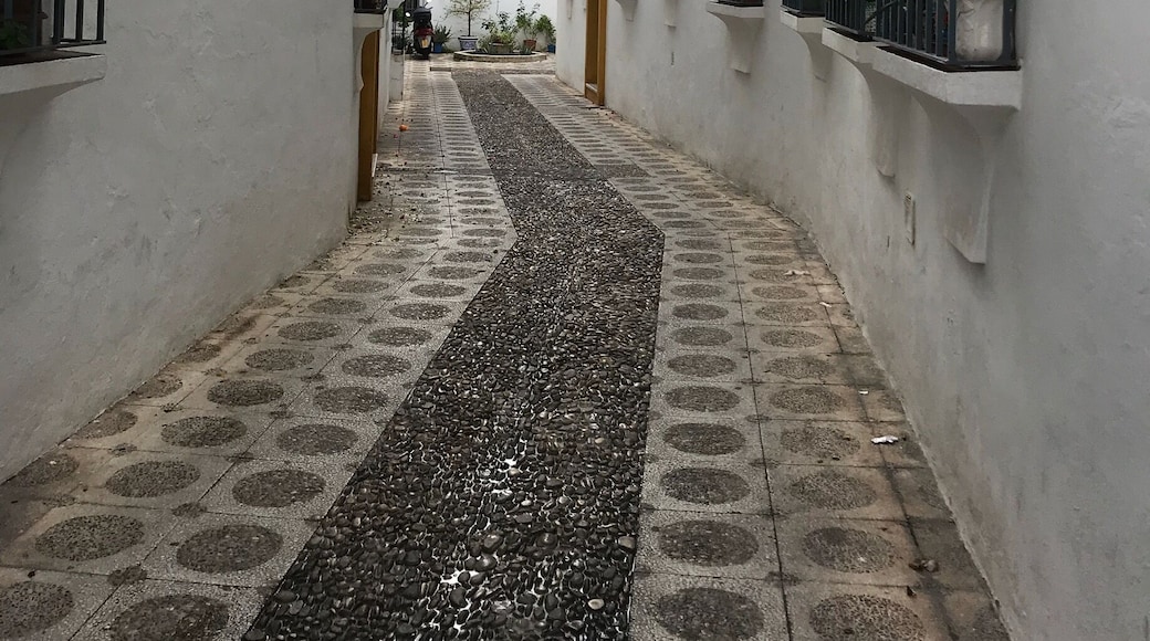 The white Andalusian walls in the beautiful Córdoba, España 🇪🇸
