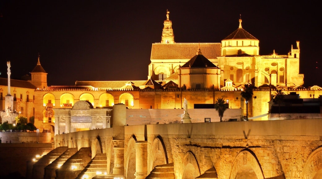 By June Córdoba is unbearably hot in the daytime but the city comes alive at night. If you cross the puente Romano you'll get a superb view of the cathedral and it's all lit up at night