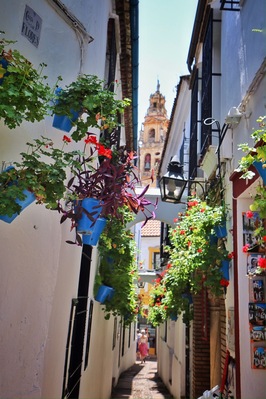 The calleja de las flores is one of the prettiest steers in Spain but also one of the most crowded. Be sure to go at midday when it's siesta time or early in the morning to avoid tour groups and day trippers.