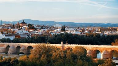 Cordoba skyline panorama